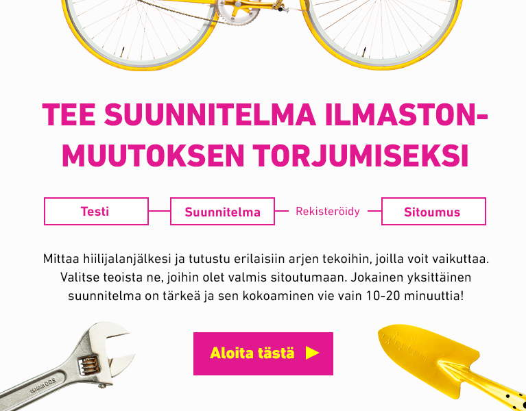 Elämäntapatesti
